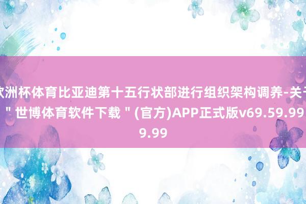 欧洲杯体育比亚迪第十五行状部进行组织架构调养-关于＂世博体育软件下载＂(官方)APP正式版v69.59.99